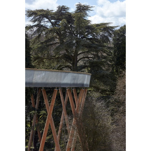 Treetop Walkway al National Arboretum di Westonbirt